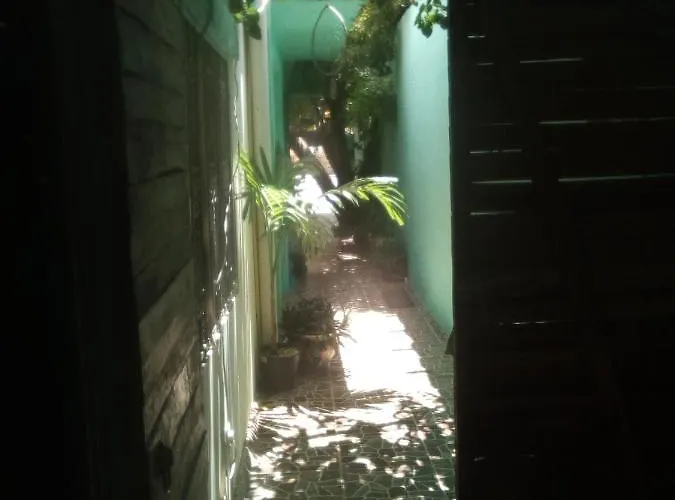 The Hobbit Jungle A Bike Included * Tulum